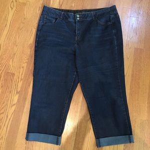 Lane Bryant 20 Regular High Rise Straight Denim Crop Jeans